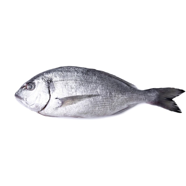 Encore Seafoods Stuffed the occasional – Image 4