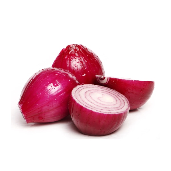 Onion hybrid varieties genus Allium – Image 4